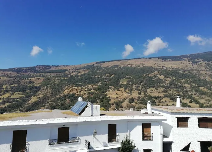 Apartamentos Cerro Negro